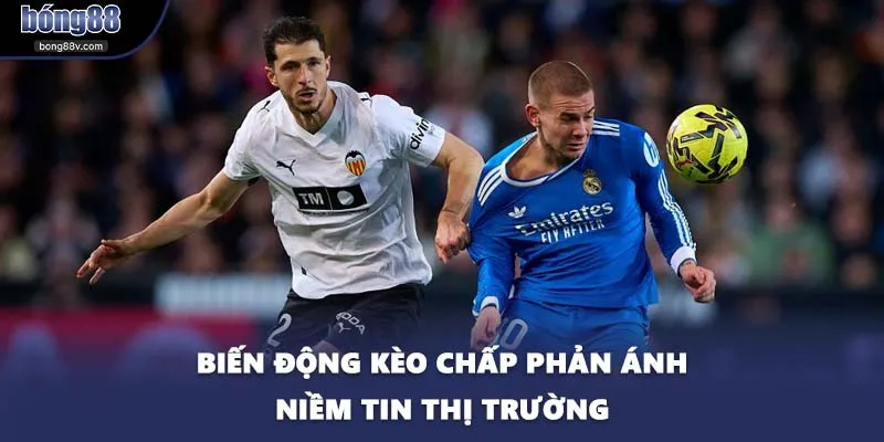 Biến động kèo chấp phản ánh niềm tin thị trường