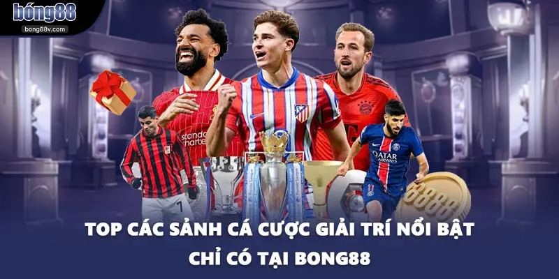 Top các sảnh cá cược giải trí nổi bật chỉ có tại BONG88