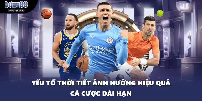 Yếu tố thời tiết ảnh hưởng hiệu quả cá cược dài hạn